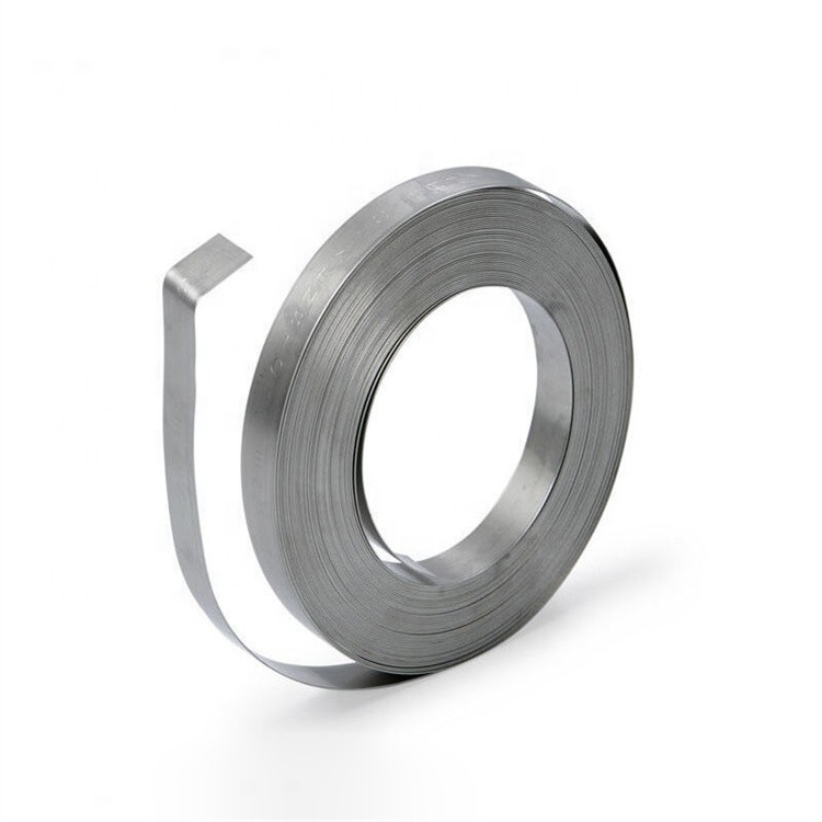 Aisi 301 304 316 die 316l-Roestvrij staalstrook met Dikke 0.1mm wordt koudgewalst